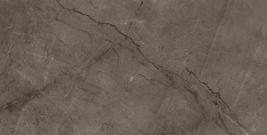 Gris Mramor Versace Gold (60x120) RP-91894 RP-91894