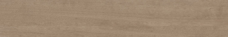 Керамогранит CW03 (19,4x120x10) непол. рект. CW 03 CW 03