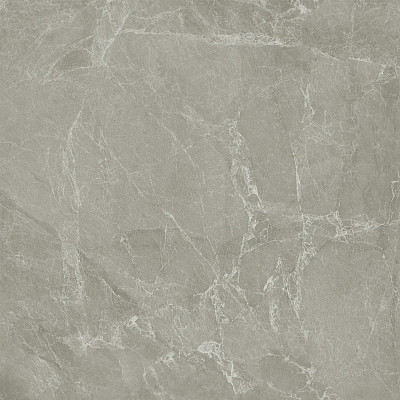 Керамогранит Joyce tortora lev CC0005520 (60x60)