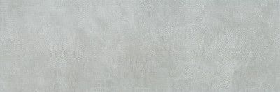 Керамическая плитка Evolution grey EVO2504C (25x75)