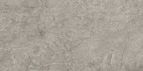 Керамогранит Marvel Meraviglia Silver Majestic AJJM (30x60)