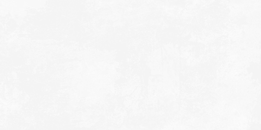 Плитка настенная Antre White (24.9x50) WT9ANR00 WT9ANR00