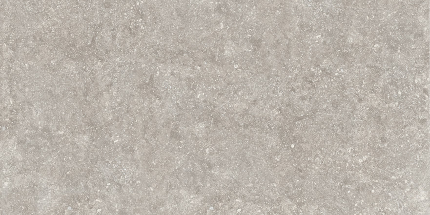 Керамогранит Rue d.s.cloud greige RUE920 (45.5x91) RUE920