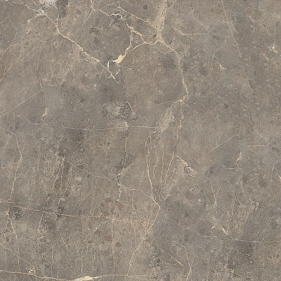 Керамогранит 89195 Grigio Imperiale Pav. Matt (60x60) 89195