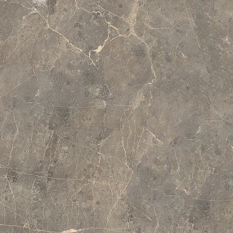 Керамогранит 89195 Grigio Imperiale Pav. Matt (60x60) 89195