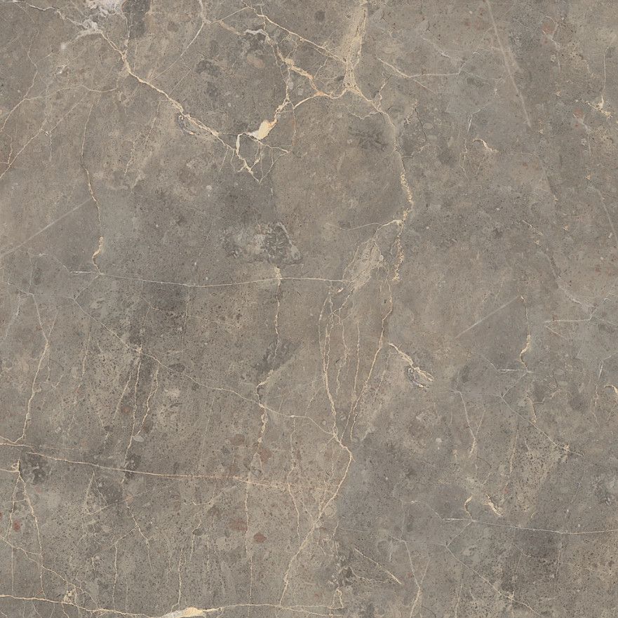 Керамогранит 89195 Grigio Imperiale Pav. Matt (60x60) 89195 89195