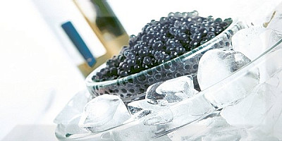 Декор Decor Black Caviar 01 (10х20)