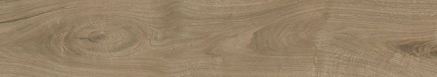 Керамогранит Dakota Natural 20*120