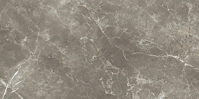 Керамогранит PERSIAN GREY SILK RT ECC2 (60x120)