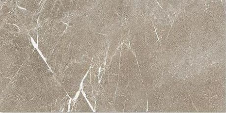 Керамогранит STAR GREIGE RETT. (60x120) ST120GG