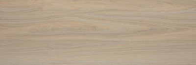 Плитка настенная Tokio (20x60) TWA11TOK404