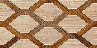 Керамогранит 43 Modern Magic Tile (Honeycomb) (50x100) PJG-SWPZ043