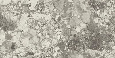 Керамогранит Forte Dei Marmi Ceppo Ap. Pearl (80x160) Lapp 610015000669