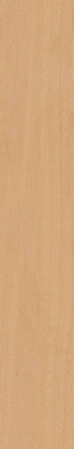 Керамогранит CW04 (19,4x120x10) непол. рект. CW 04 CW 04