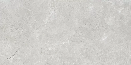 Bellisimo Smoke Glossy 120x60