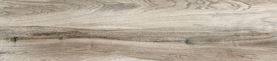 Керамогранит Westwood (20x90) GFA92WTD40R GFA92WTD40R