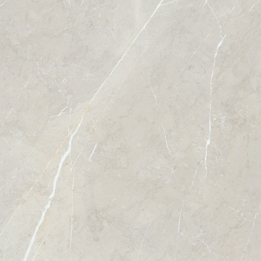 Керамогранит 2550 BB6NTT9101P (60x60) BB6NTT9101P