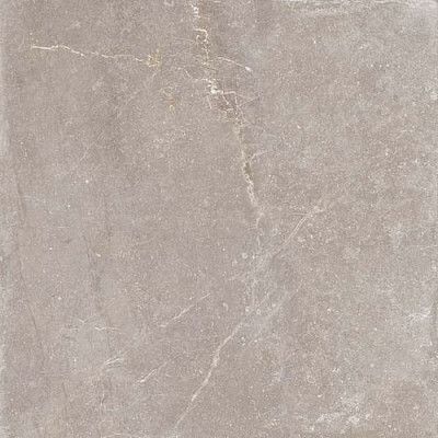 Керамогранит Taupe Soft (90x90) 456
