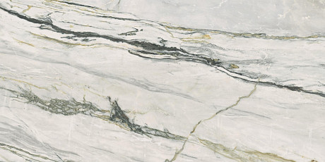 Керамогранит Epoque 21 Cal.Bamboo Ant PF60009344 (60x120)