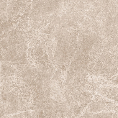 Керамогранит Emperador Taupe Polished (120x120) N20461