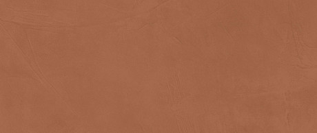 Керамическая плитка Prism Caramel (50x120) A4TL