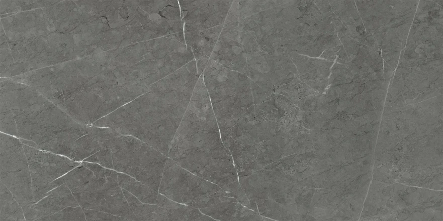 Керамогранит Skala Dark Grey Matt. (60x120) K-2203/MR/600x1200 K-2203/MR/600x1200