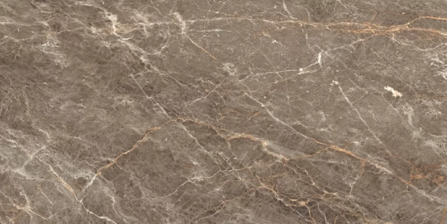 Istanbul Sepia Glossy 120x60 RP-160240