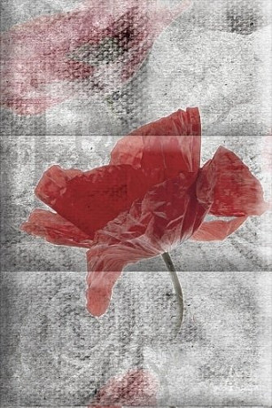 Керамическая плитка Composicion Opio C (15х22.5)