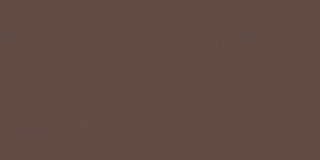 Керамогранит RW04непол. рект. (60x120)