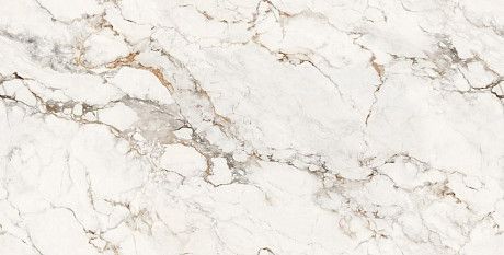 Керамогранит FAUX GREY GLOSSY ENDLESS R (60x120) ROL83976