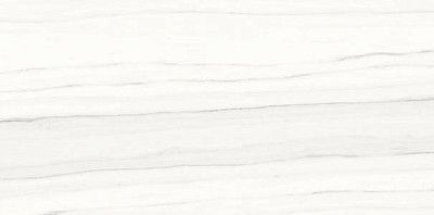 Керамогранит Marmi Classici ZEBRINO BIANCO Soft (60х120) P612517