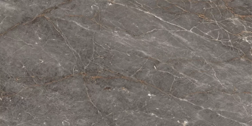 Istanbul Argenta Glossy 120x60 RP-160238