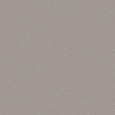 Керамогранит RW03x11 непол. рект. (80x80)