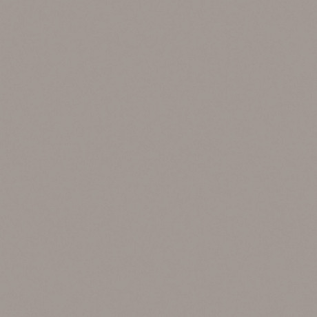 Керамогранит RW03x11 непол. рект. (80x80)