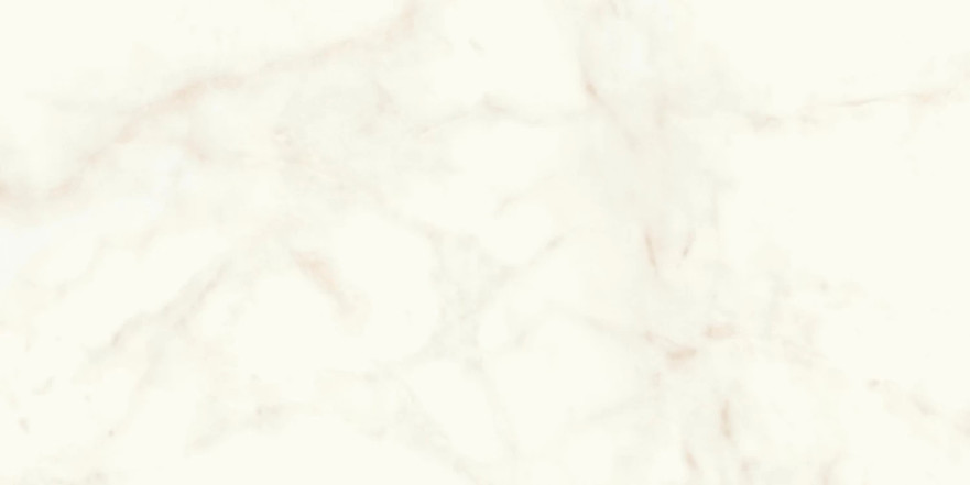 Керамогранит Marvel Calacatta Delicato Matt (60x120) A4QW A4QW