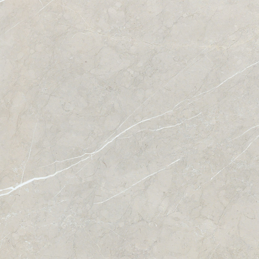 Керамогранит 2550 BB6NTT9101P (60x60) BB6NTT9101P