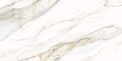 Керамогранит Omega Gold D12054M (60x120)