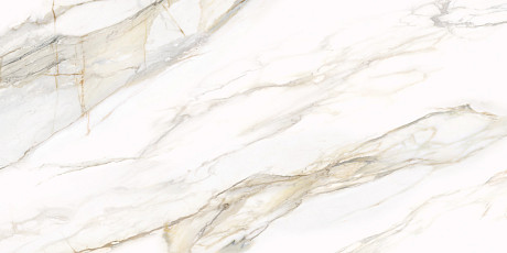 Керамогранит Omega Gold D12054M (60x120)