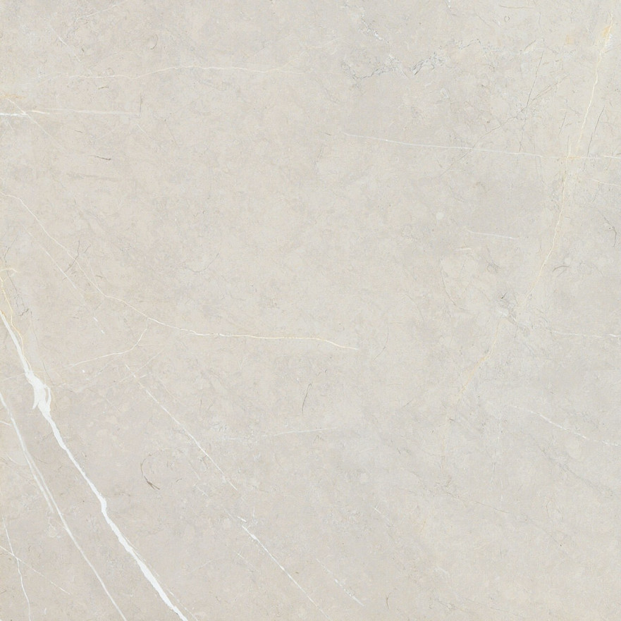 Керамогранит 2550 BB6NTT9101P (60x60) BB6NTT9101P