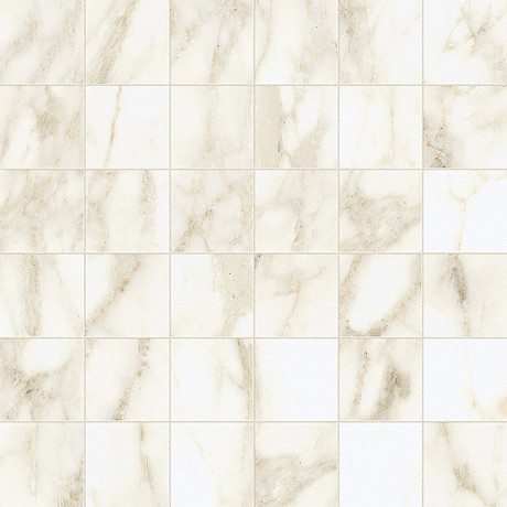 Мозаика Микеланджело ворм 610110001105 (30x30)