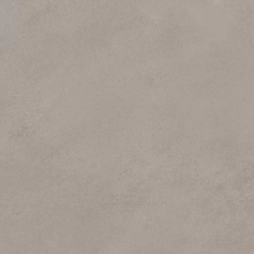 Petra Gris Duragrip 60x60 RP-219561