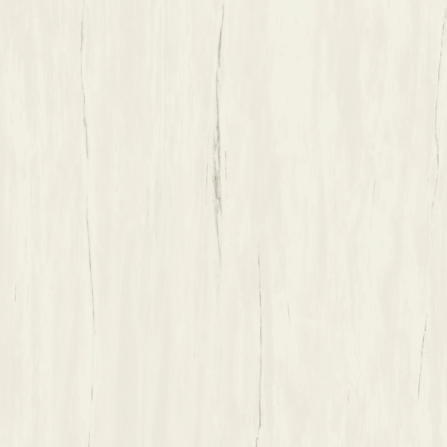 Керамогранит Marvel Bianco Dolomite (120x120) A204 A204