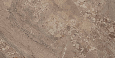 Керамогранит OM03непол. рект. (60x120)