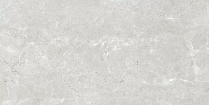 Bellisimo Smoke Glossy 120x60 RP-185185