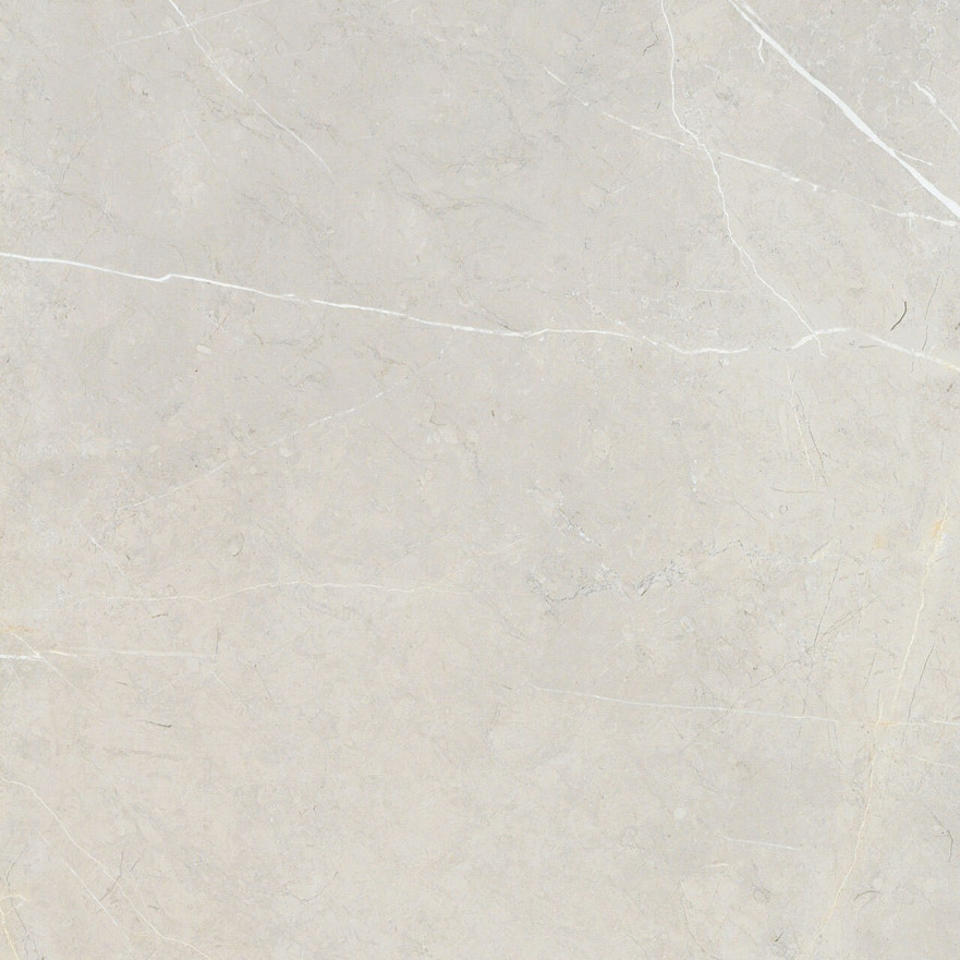 Керамогранит 2550 BB6NTT9101P (60x60) BB6NTT9101P