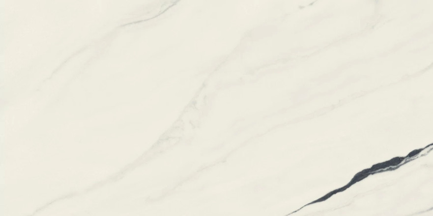 Керамогранит Forte Dei Marmi Panda White Rett Cer (60x120) 610015000656 610015000656