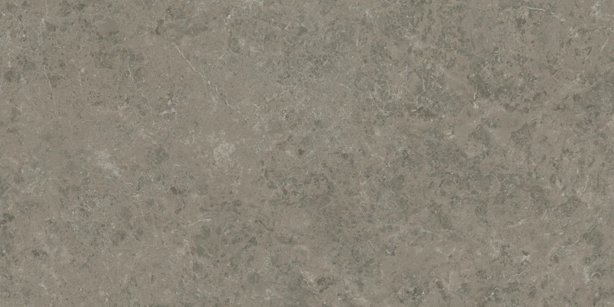 Керамогранит Marvel Meraviglia Grigio Elegante Lapp. AJIA (120x240) AJIA