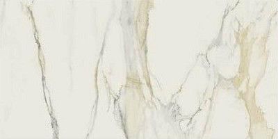 Керамогранит Cal.Gold Chain C Glossy (120x240) 750678