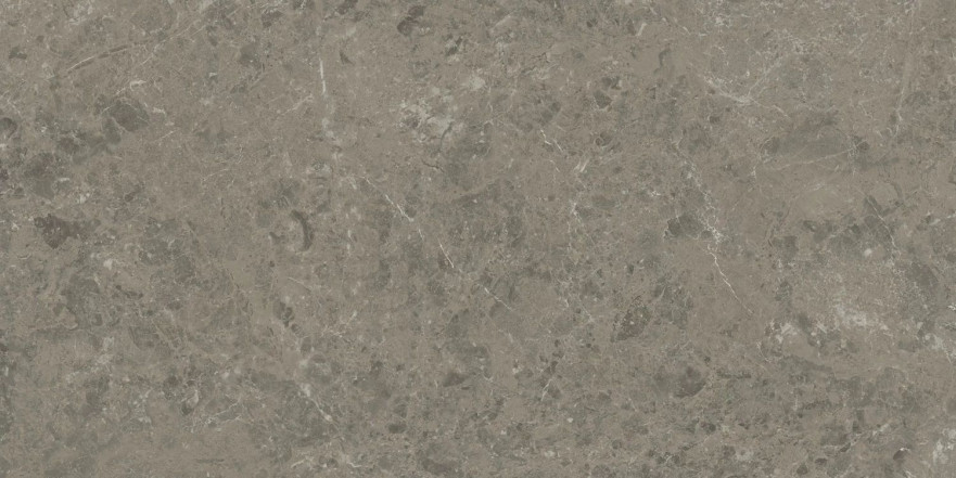 Керамогранит Marvel Meraviglia Grigio Elegante Lapp. AJHW (60x120) AJHW