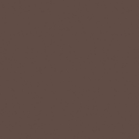 Керамогранит RW04 непол. рект. (60x60)